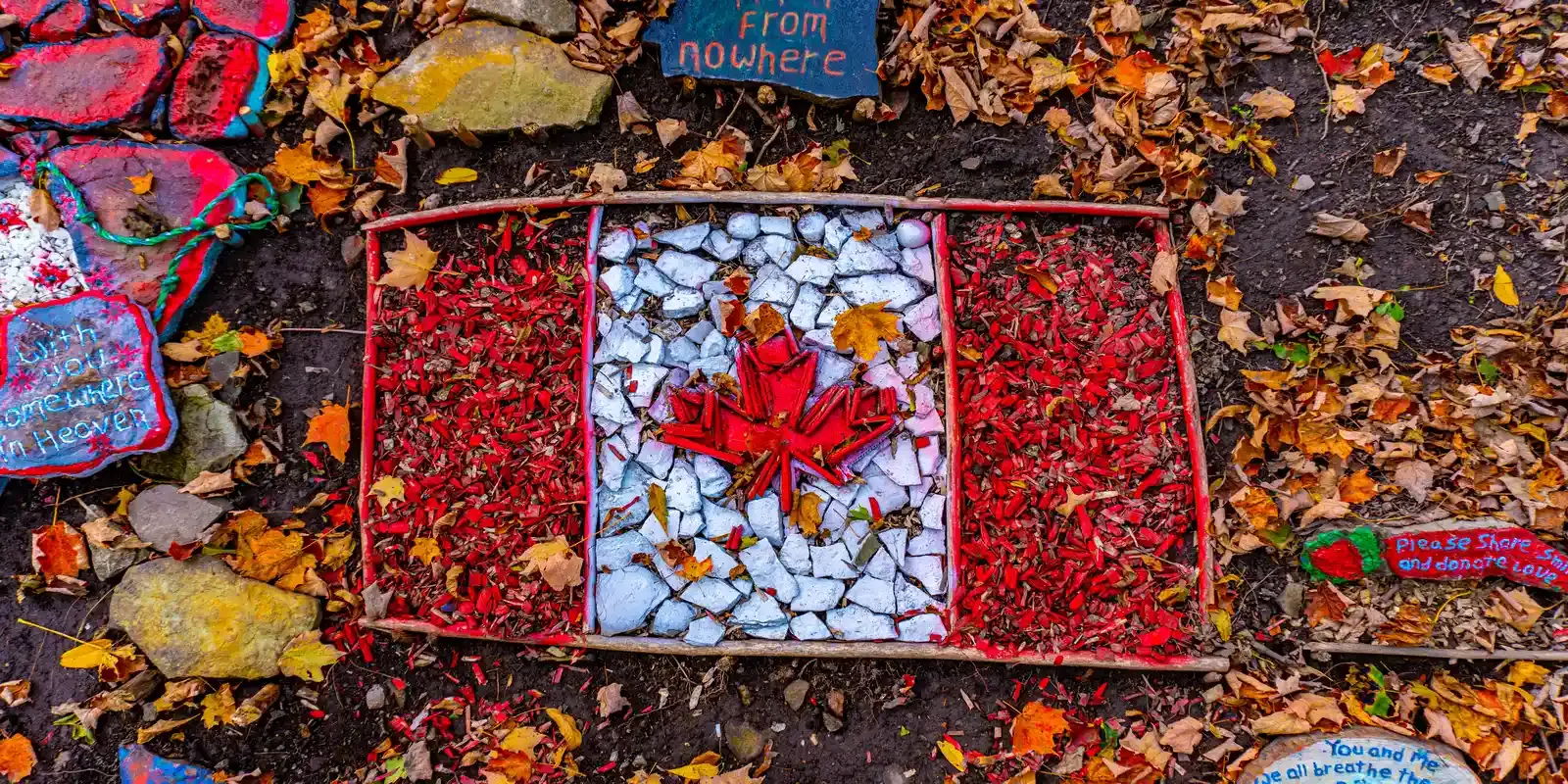 Secant Immigration 1 slide 1